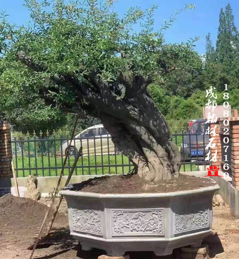 廠家直銷市政水泥花箱、花盆 